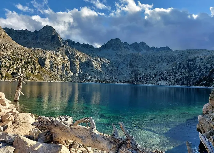 Solau